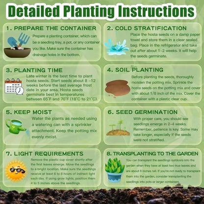 🎁2025 Special Offer🍃Rare Hosta Seeds🌿